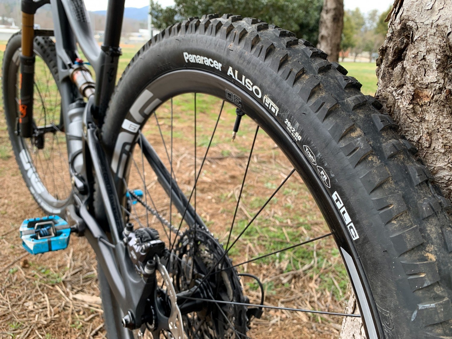 Read more about the article Review: Panaracer 2.6″ Romero & Aliso – High Volume & Value